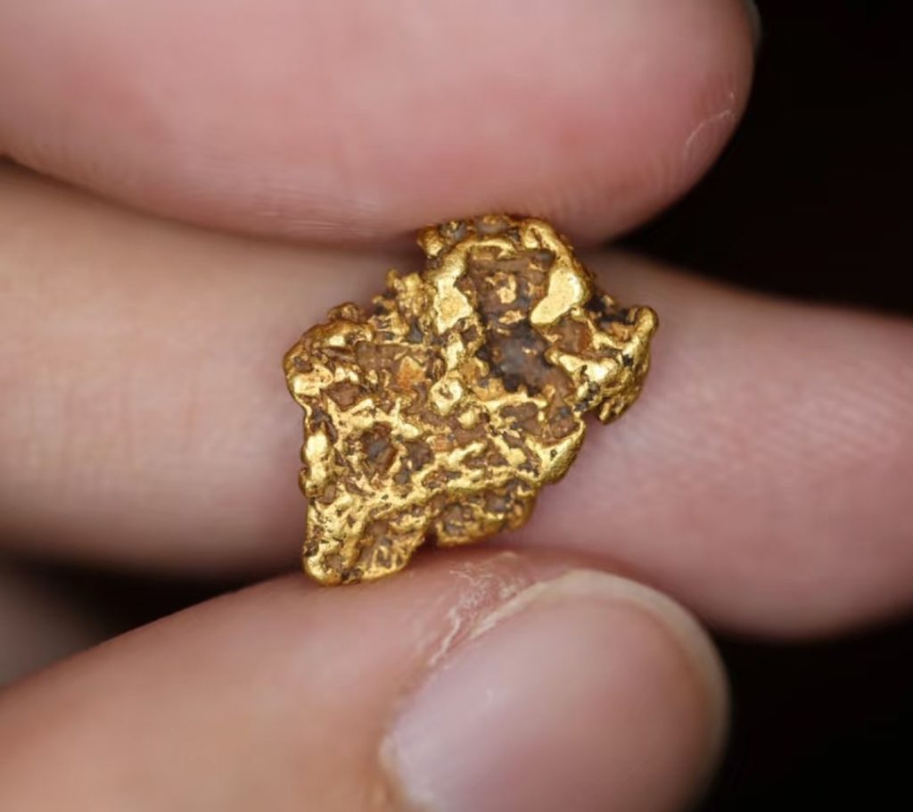 gold nugget earrings