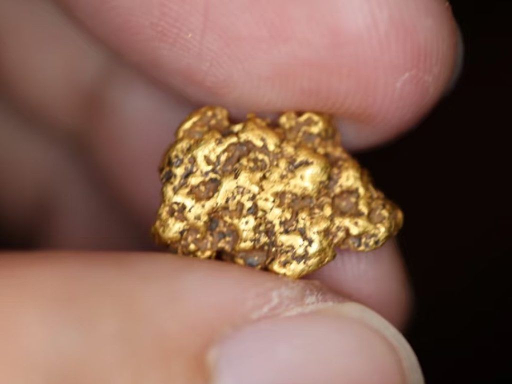 gold nugget earrings