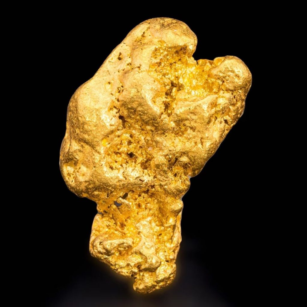 gold nugget earrings