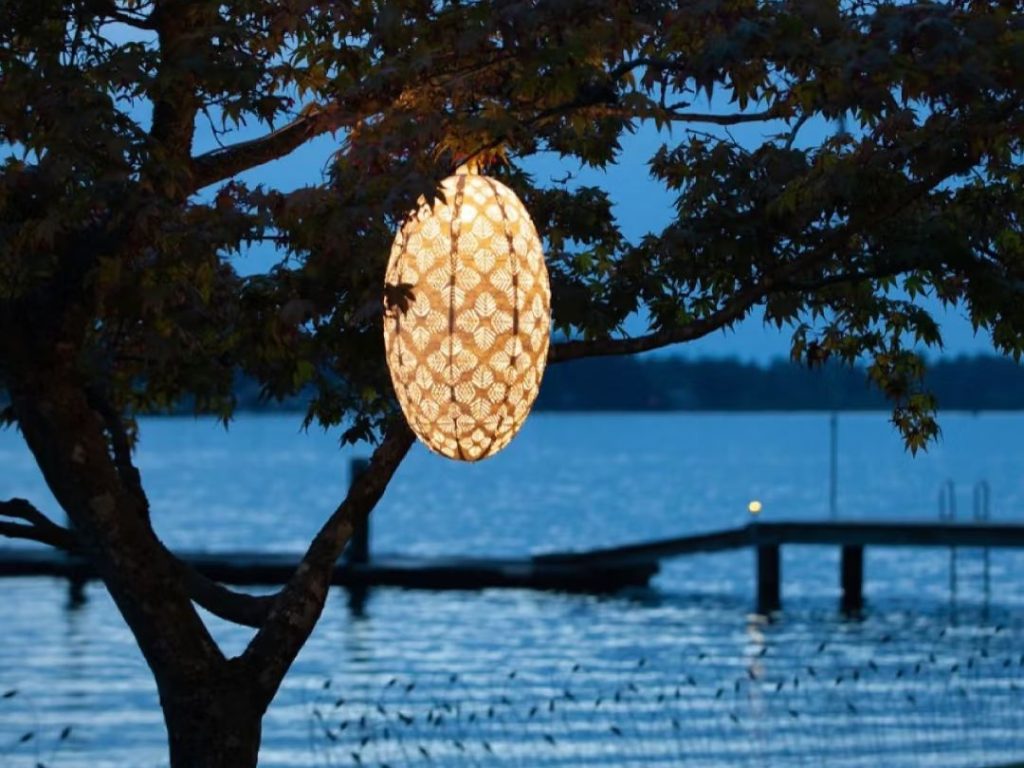 outdoor pendant lighting​-8-Olive-Shaped