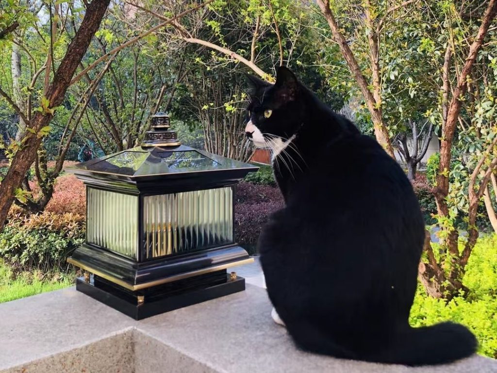 outdoor post lights​​-38-Brass