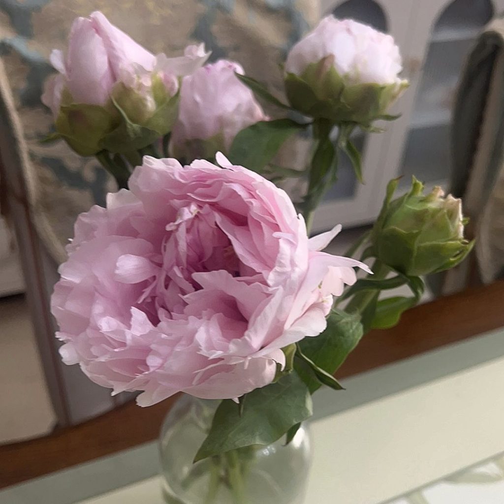 pink peonies​