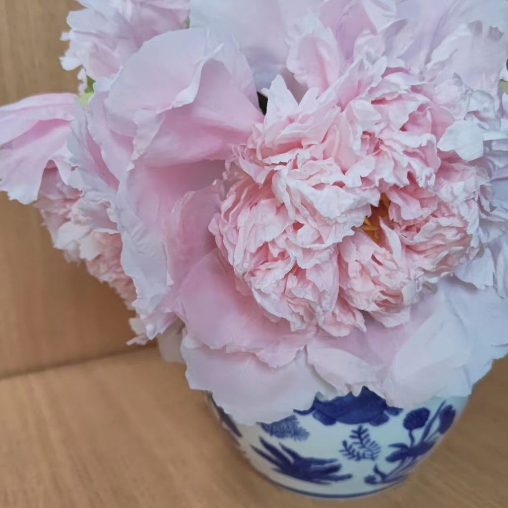 pink peonies​-21-Zhaofen Tree Peony