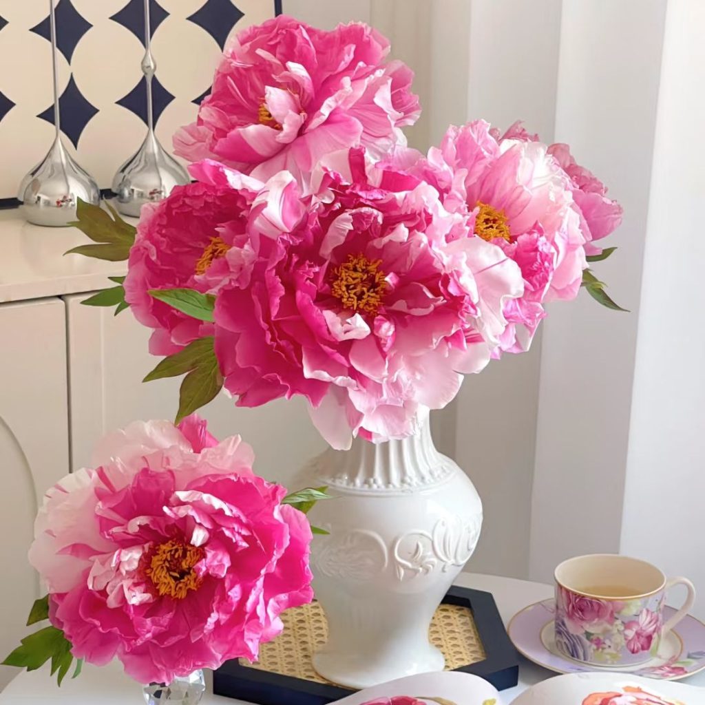 pink peonies​-23-Shima Nishiki Tree Peony