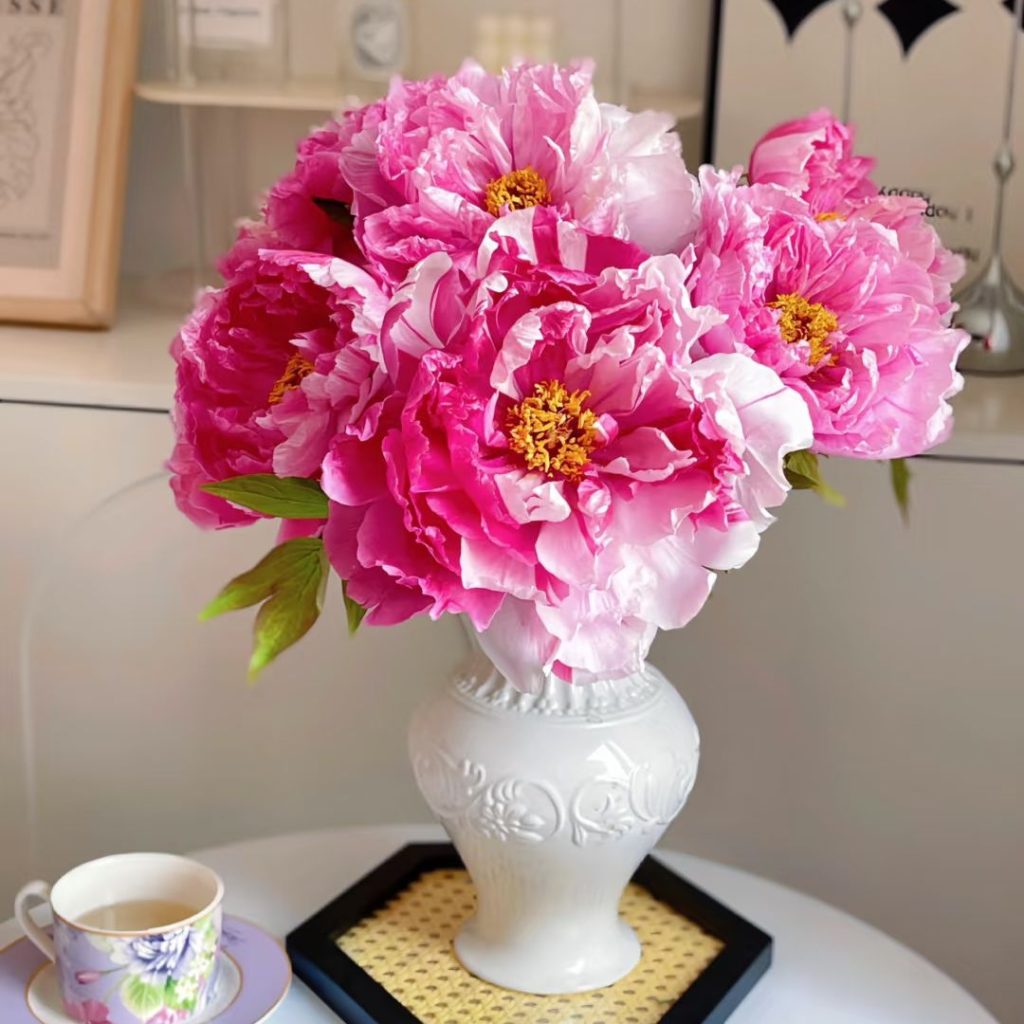 pink peonies​-24-Shima Nishiki Tree Peony