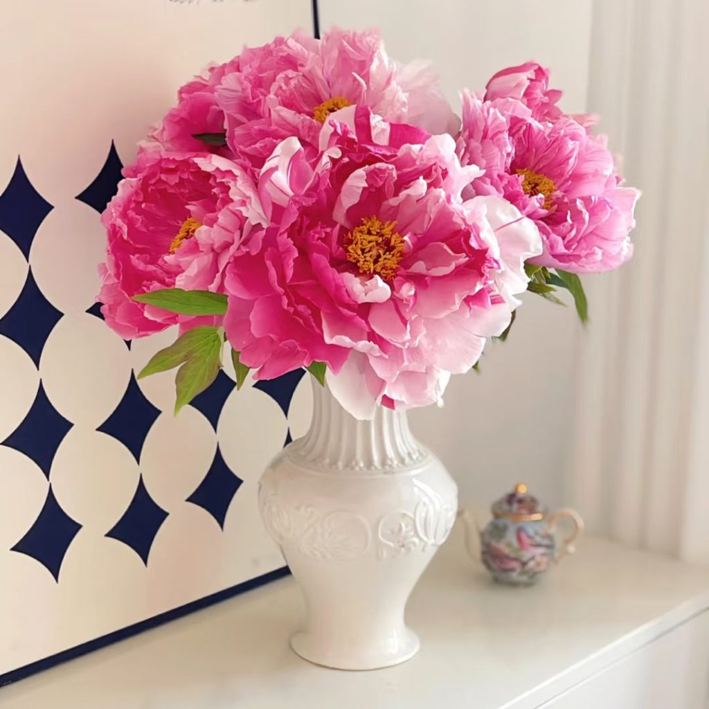 pink peonies​-27-Shima Nishiki Tree Peony