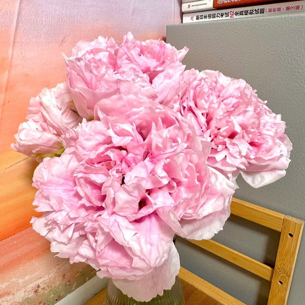 pink peonies