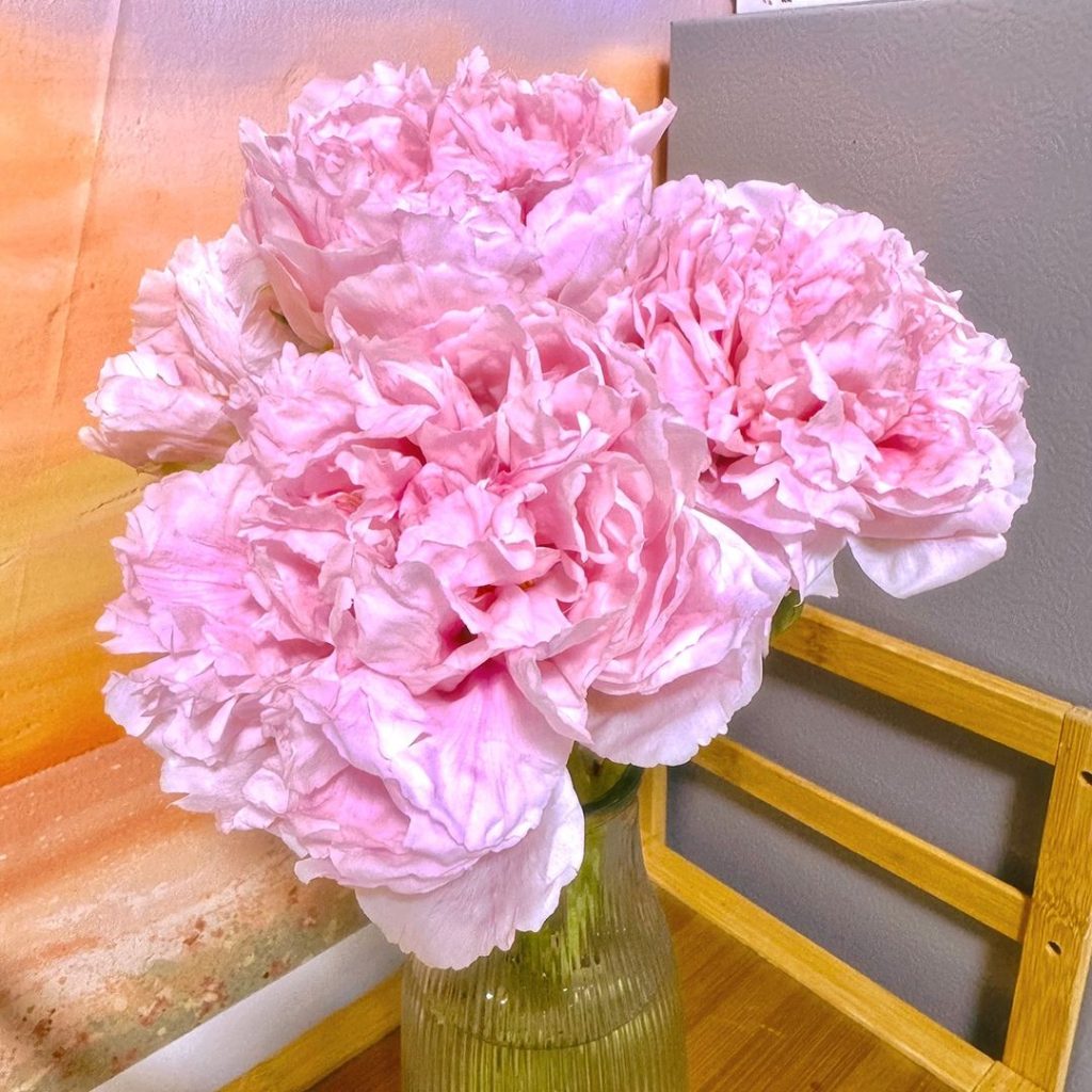 pink peonies
