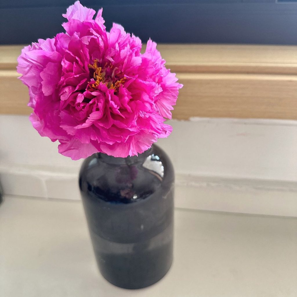pink peonies