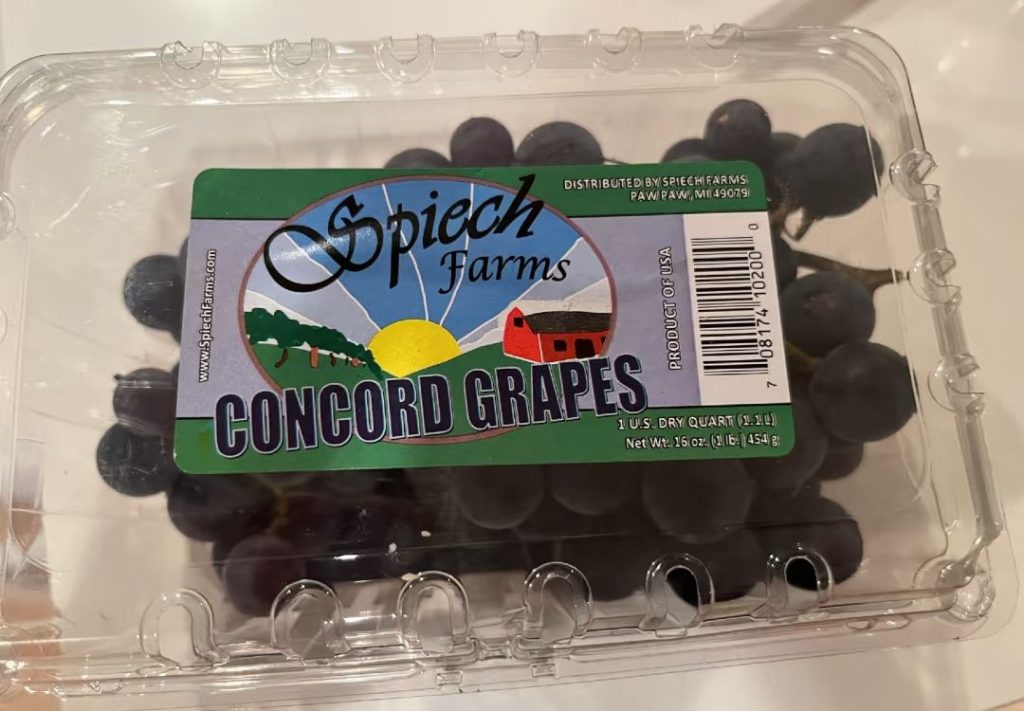 purple grapes​-1-Concord