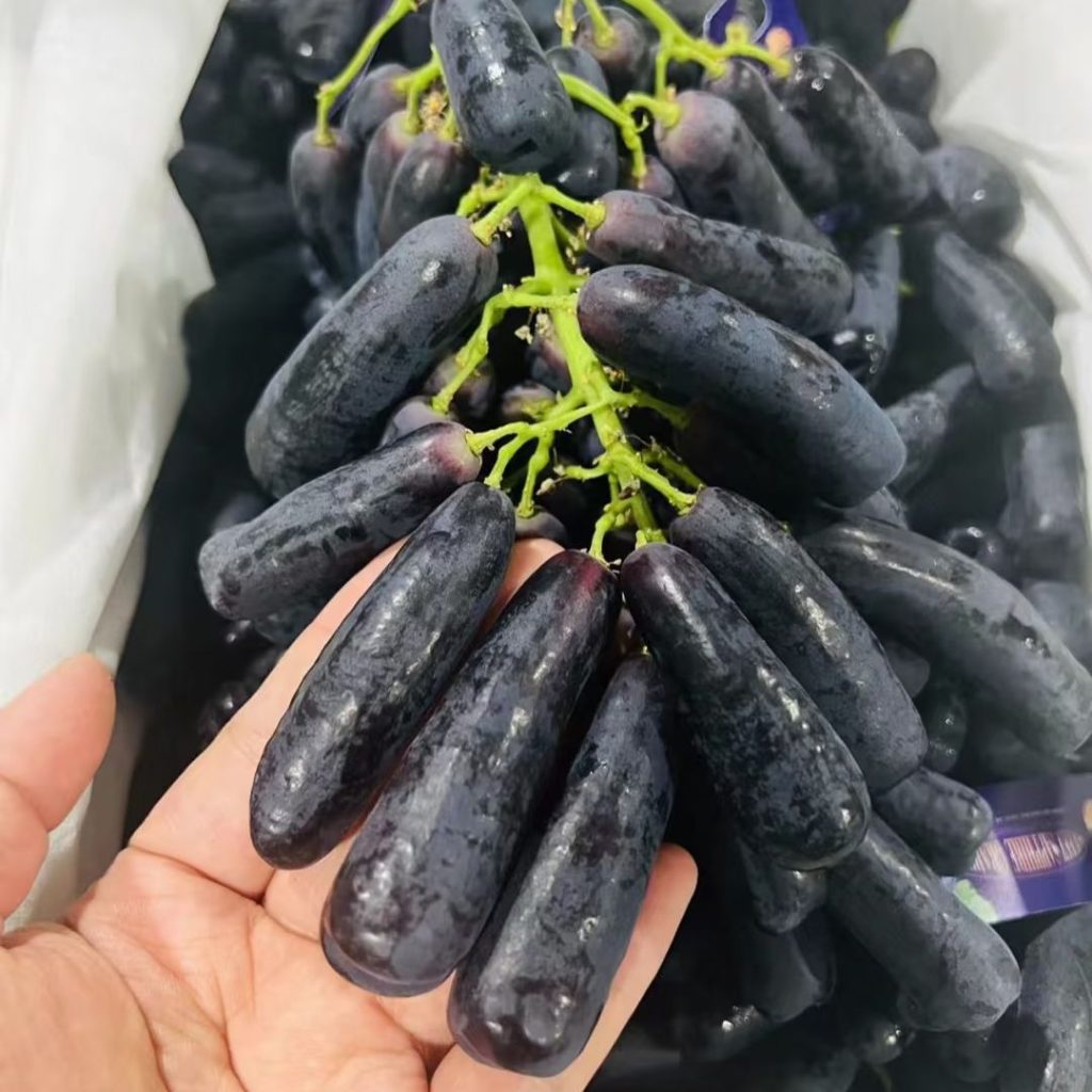 purple grapes​-12-Black Monukka