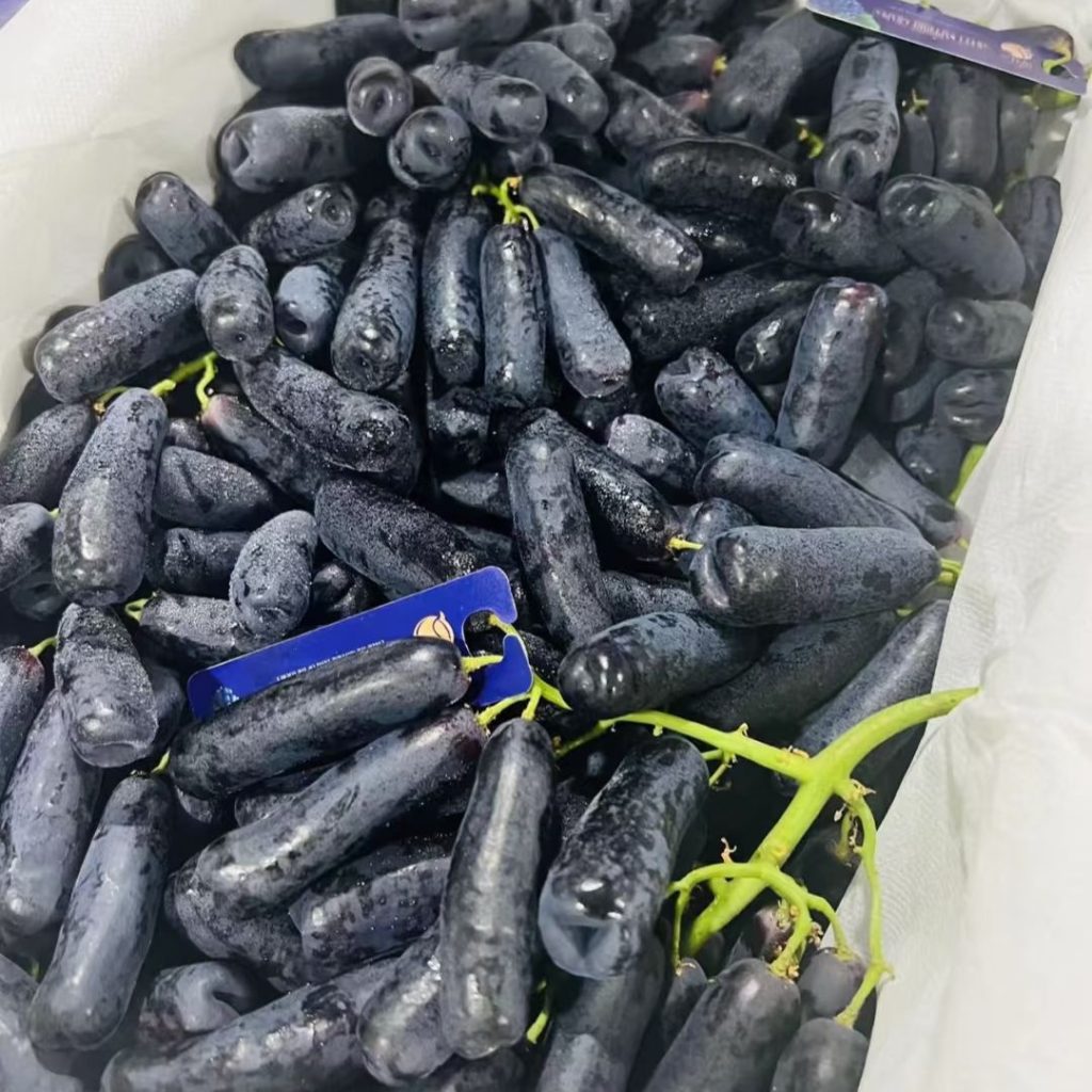 purple grapes​-13-Black Monukka