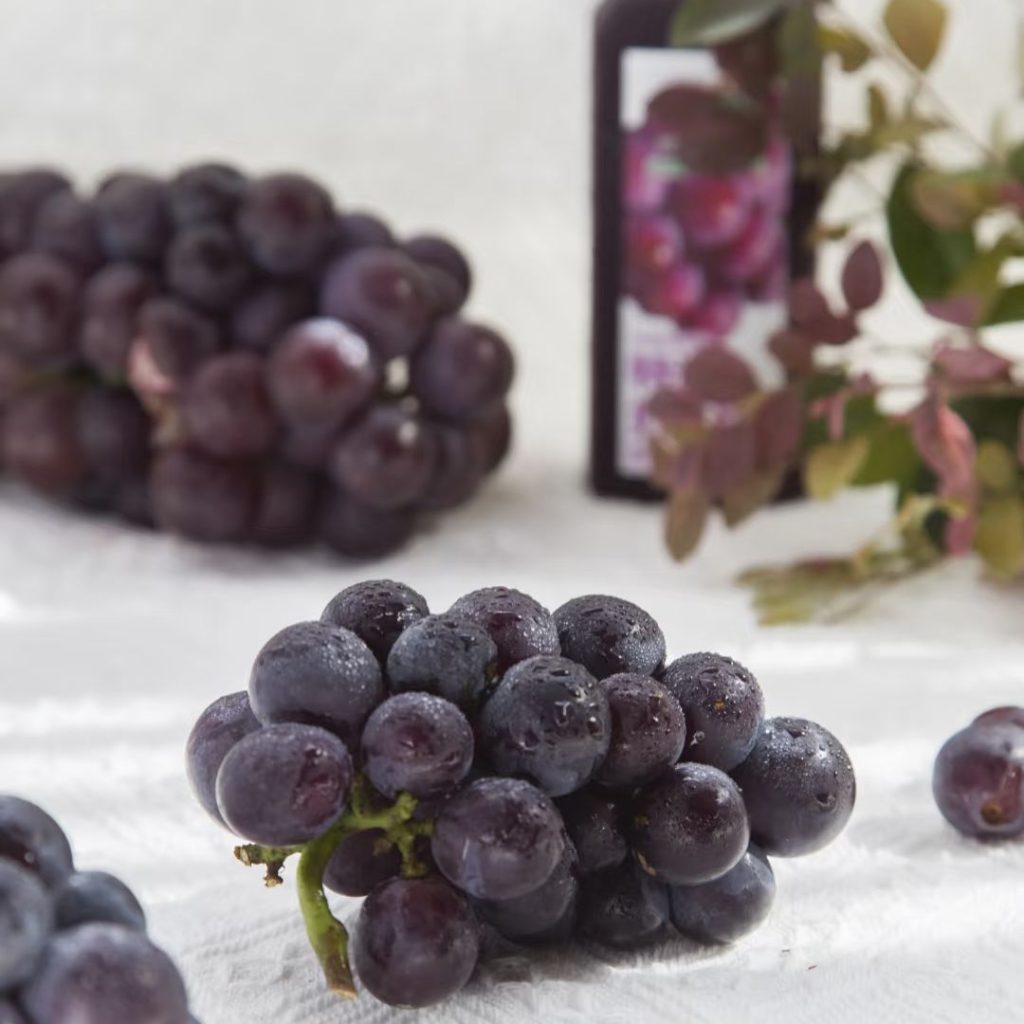 purple grapes​-2-Kyoho