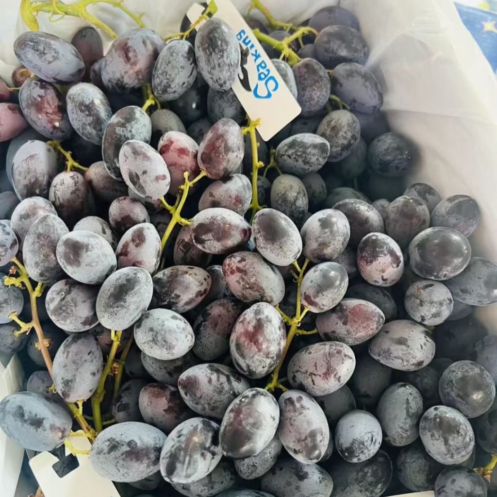 purple grapes​-28-Autumn Royal