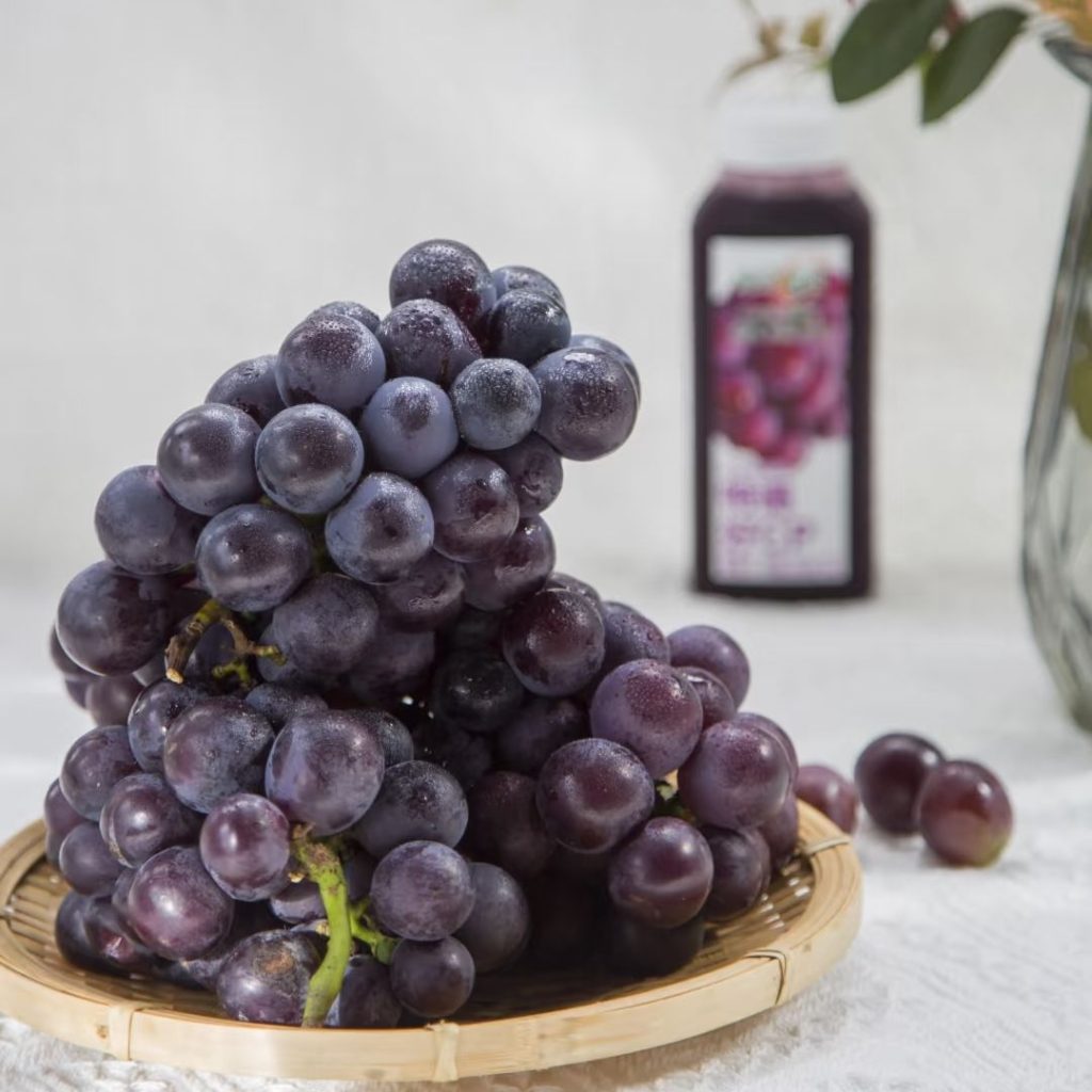 purple grapes​-5-Kyoho