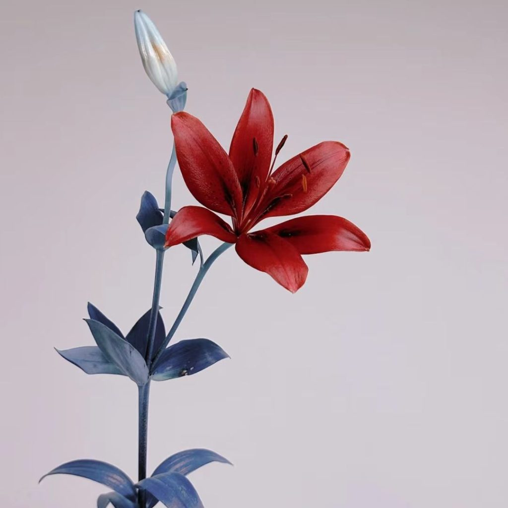 38 Stunning red flowers: A Fiery Guide to Blooms That Steal the Spotlight 23 red flower