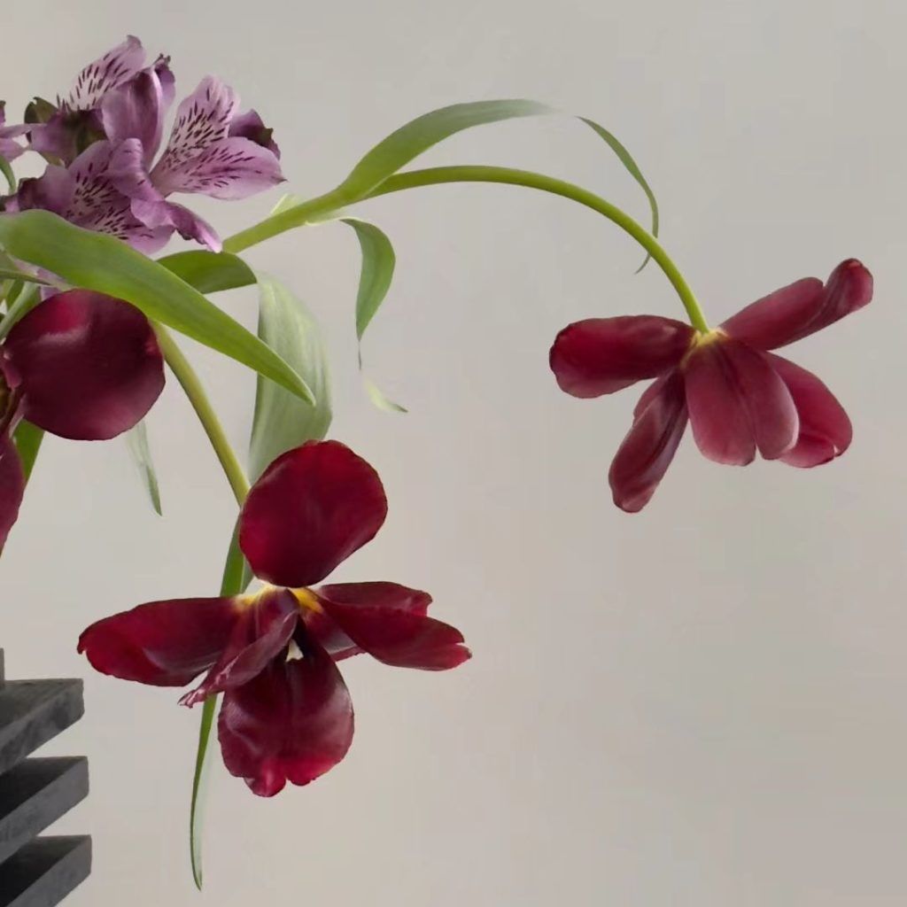 red flower