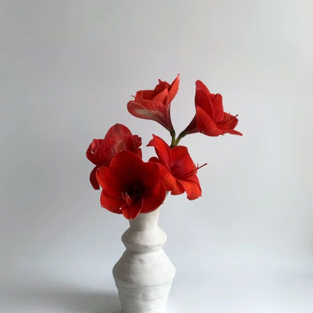 red flower​