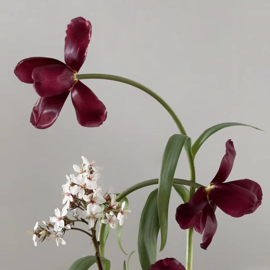 red flower