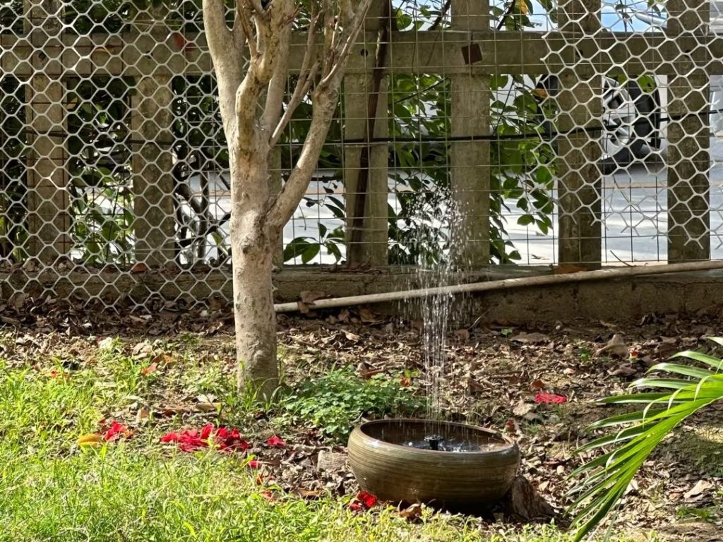 water pump for solar​-13-Application Scenarios