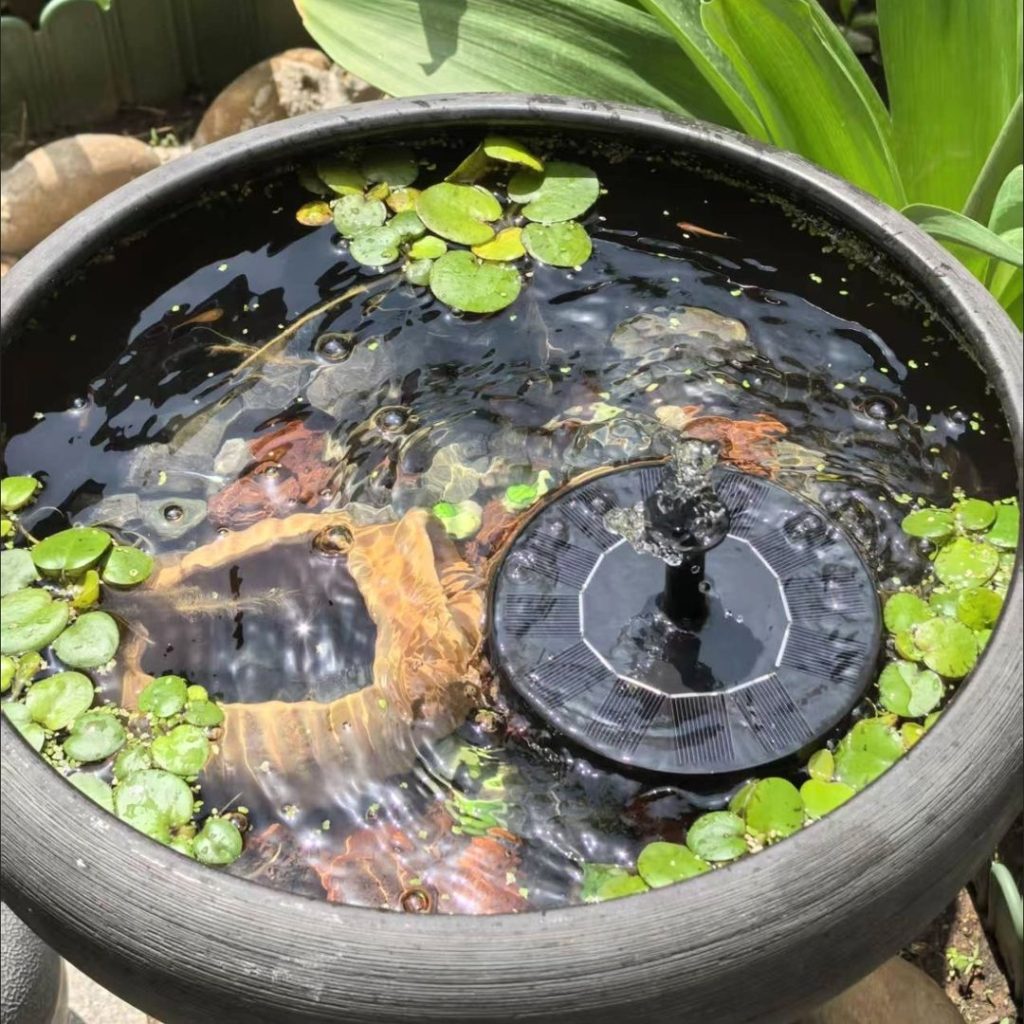 water pump for solar​-8-Solar fountain