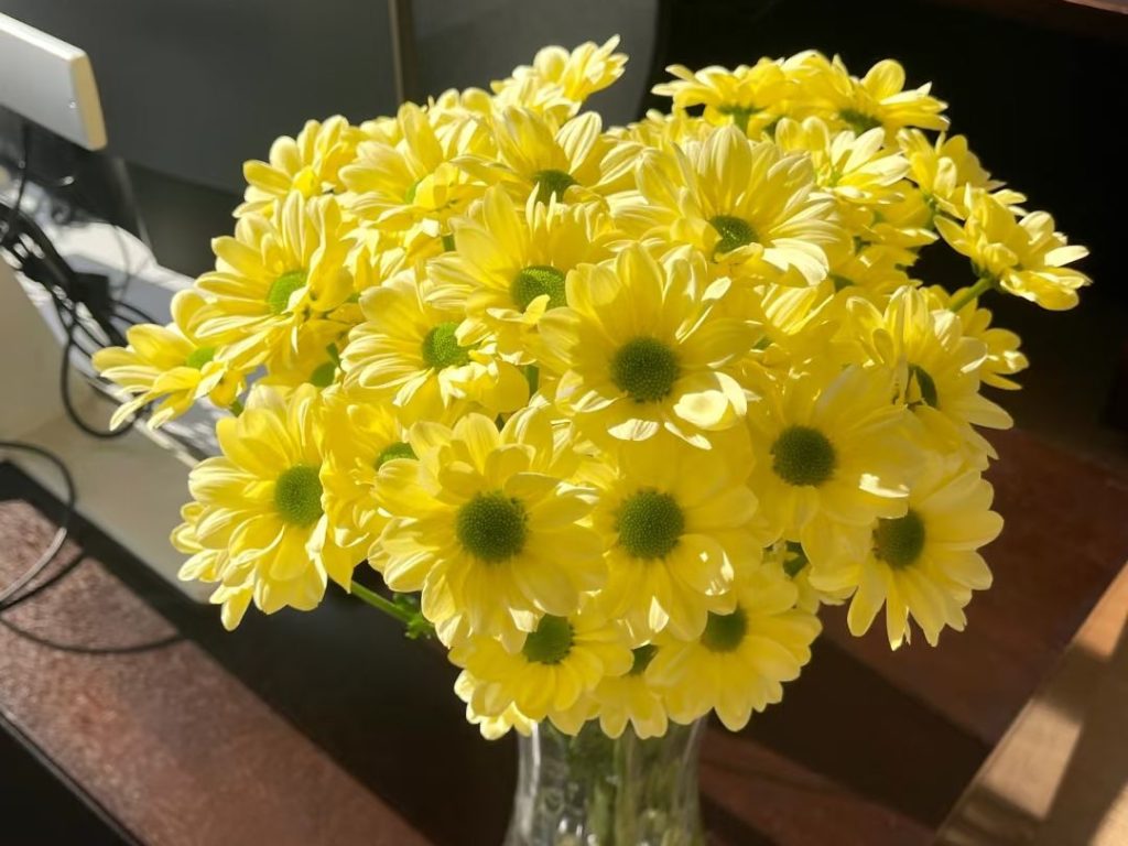 daisy bouquet​-14