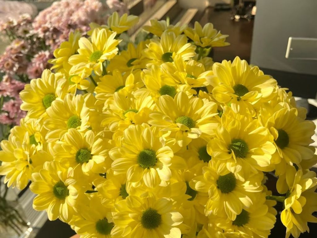 daisy bouquet​-15