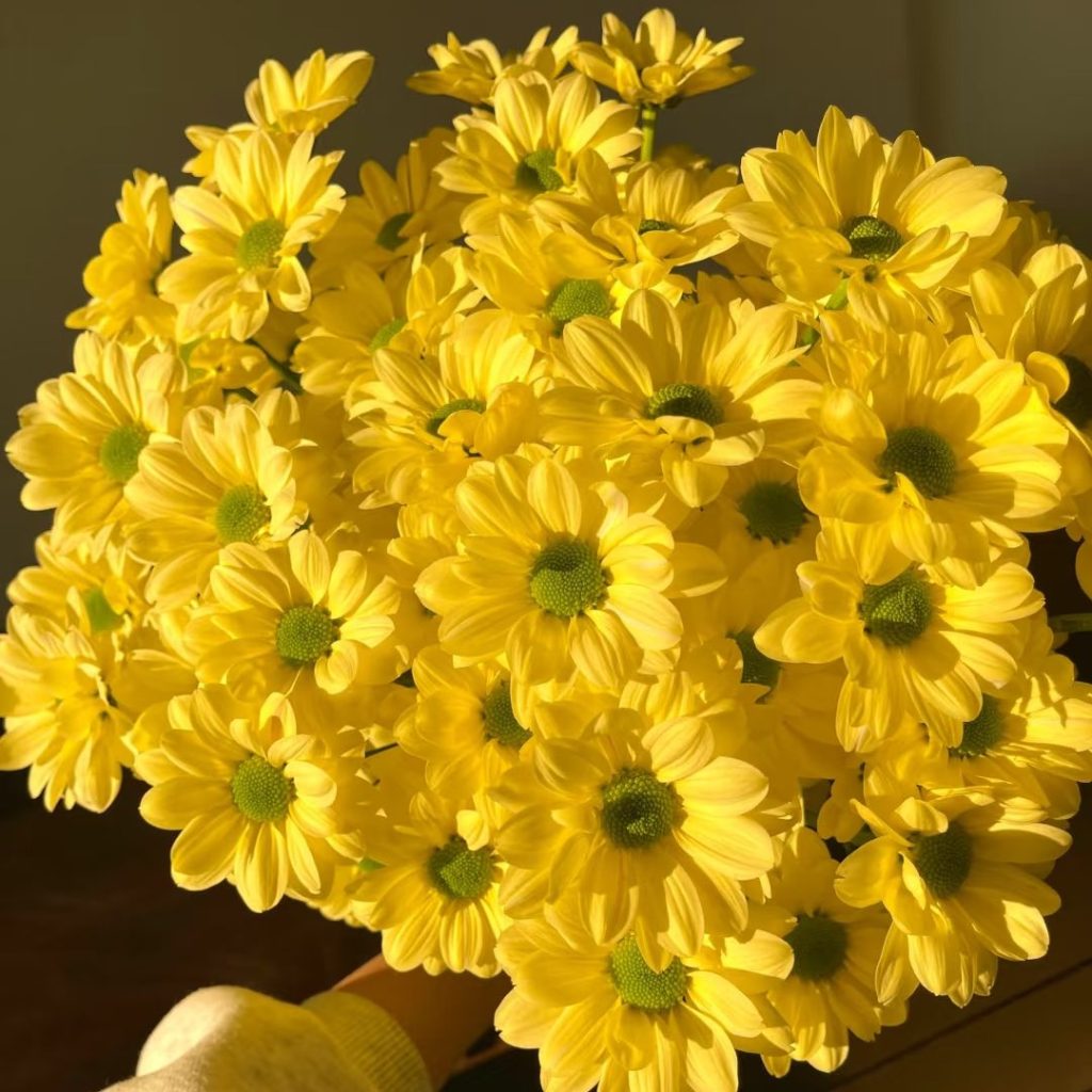 daisy bouquet​-16