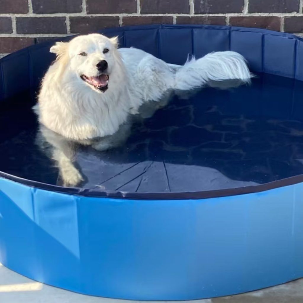 dog bath tub-13-PVC