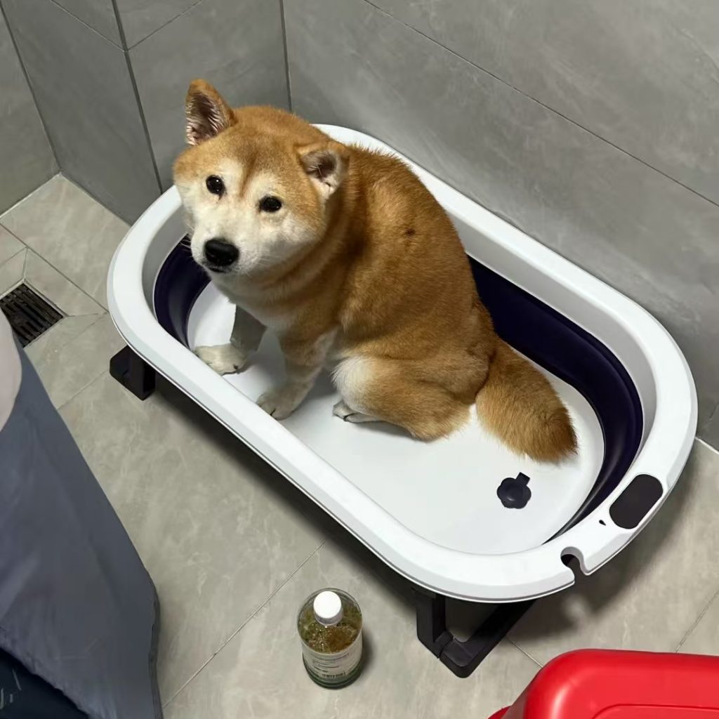 dog bath tub-25-Common Varieties
