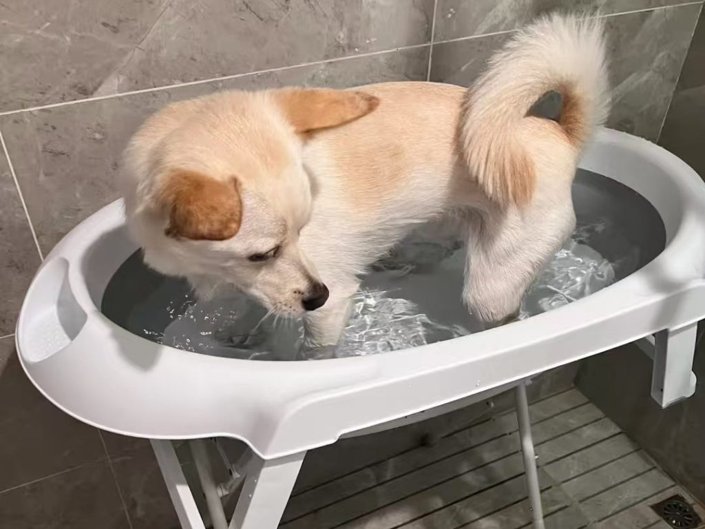 dog bath tub-26-Market Status