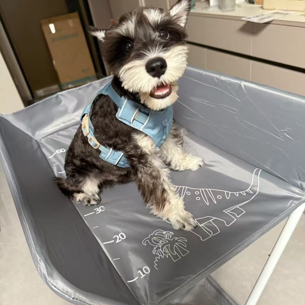 dog bath tub-4-Foldable