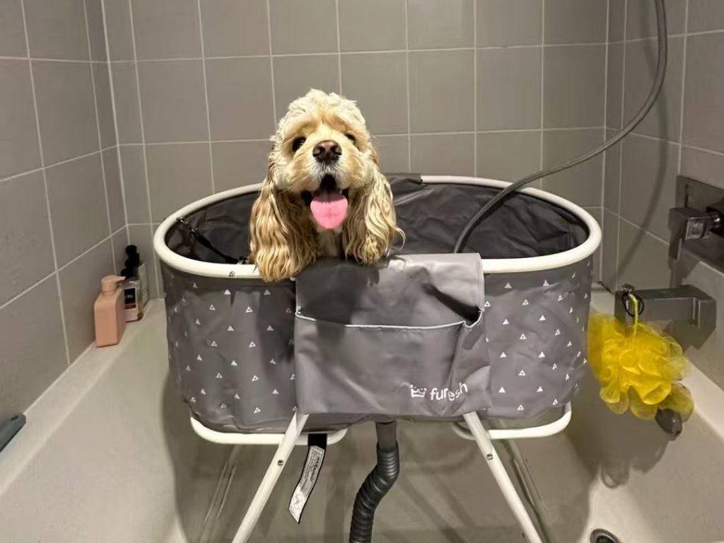 dog bath tub-6-Foldable