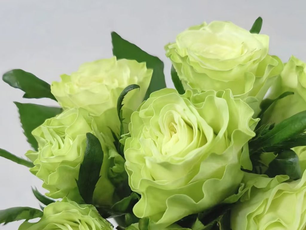green roses​-17-Glazed