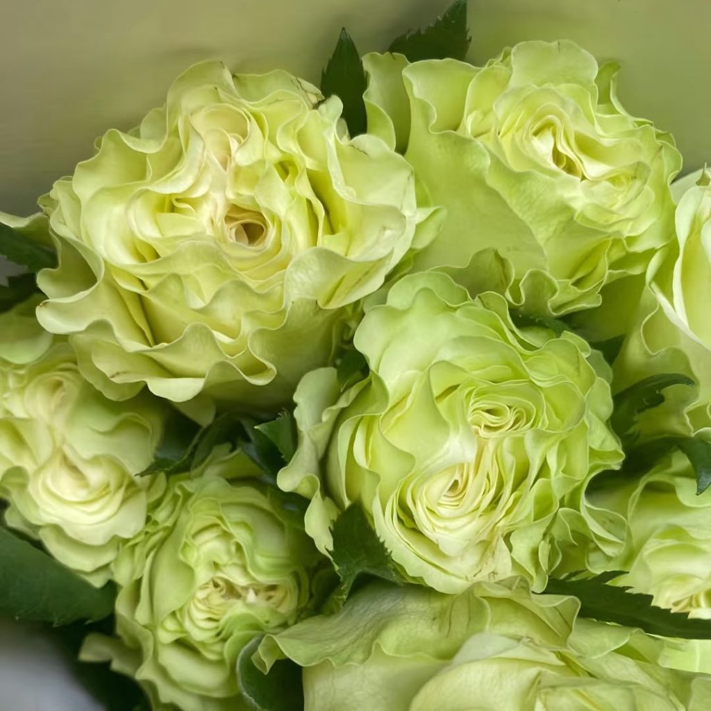 green roses​-18-Glazed