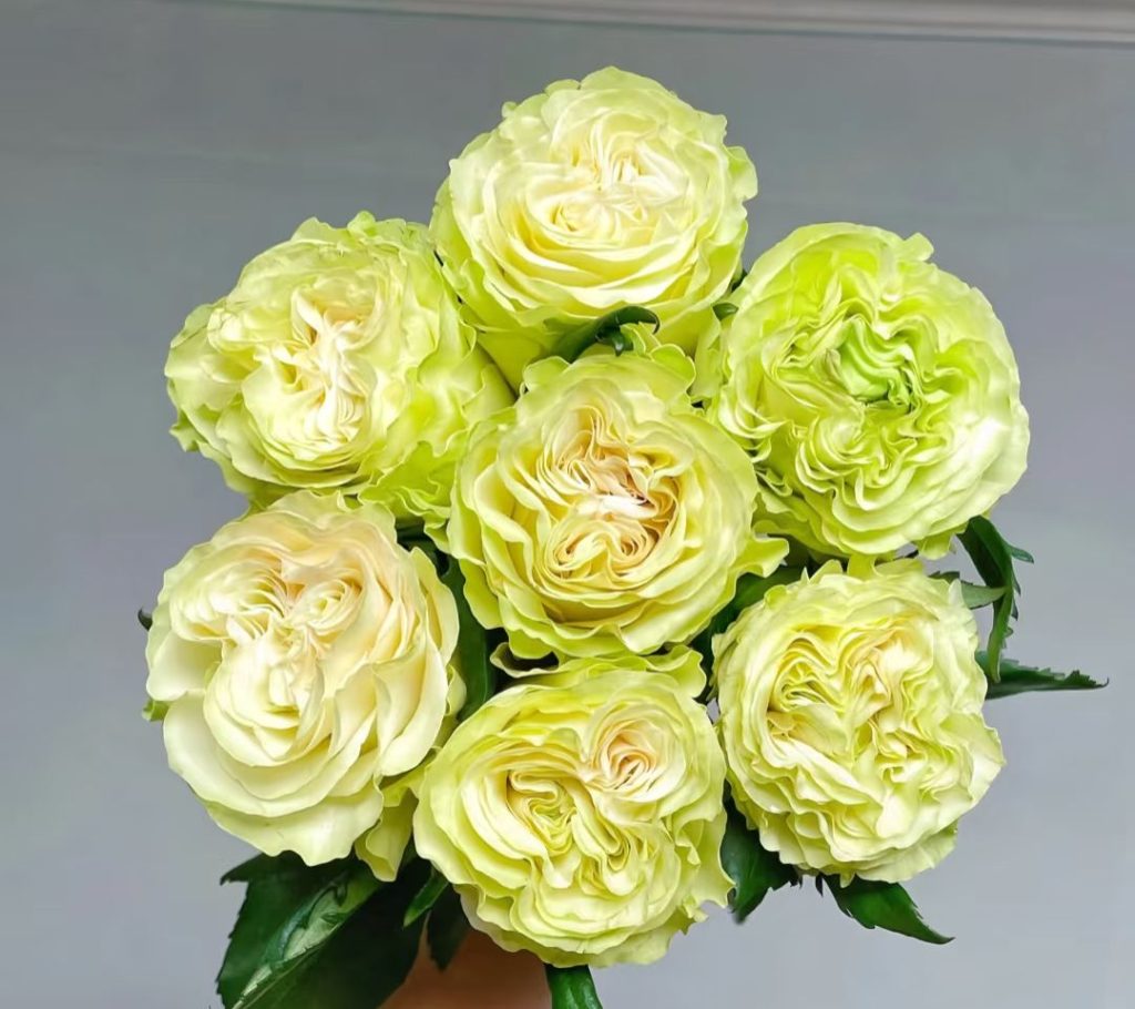 green roses​-19-Glazed