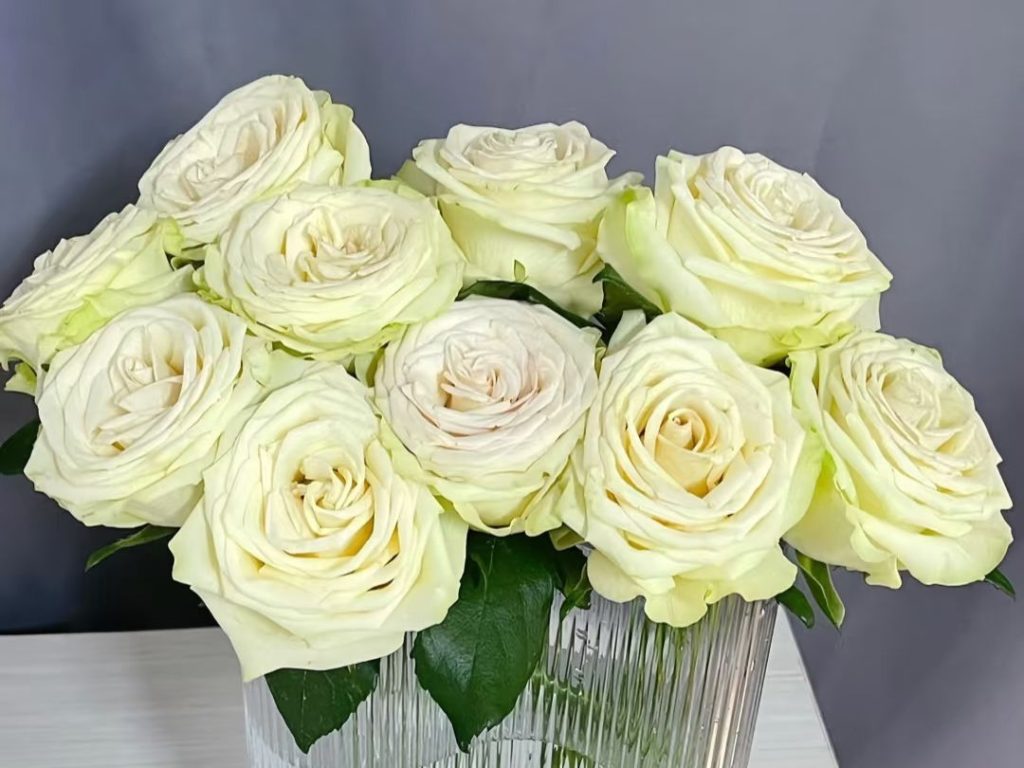 green roses​-20-Glazed