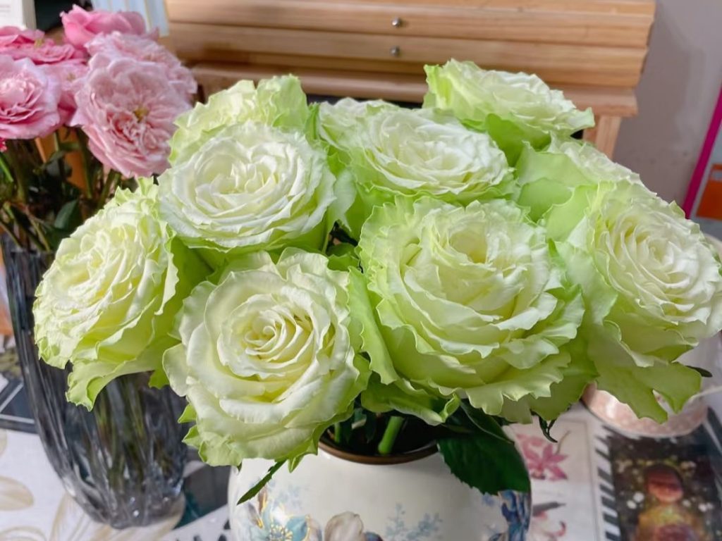 green roses​-28-Viridiflora