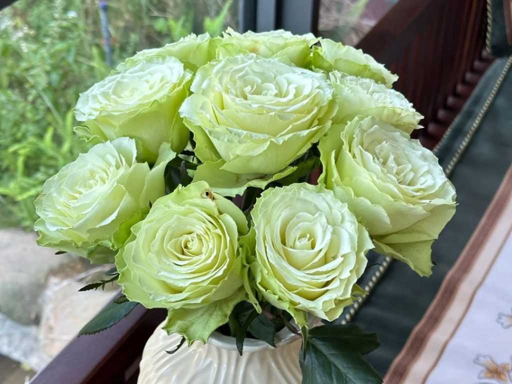 green roses​-34-Viridiflora