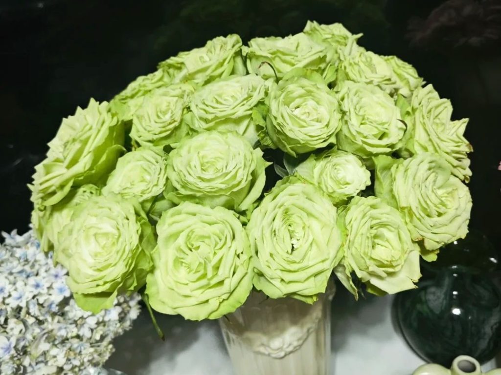 green roses​-36-Mint Julep​​