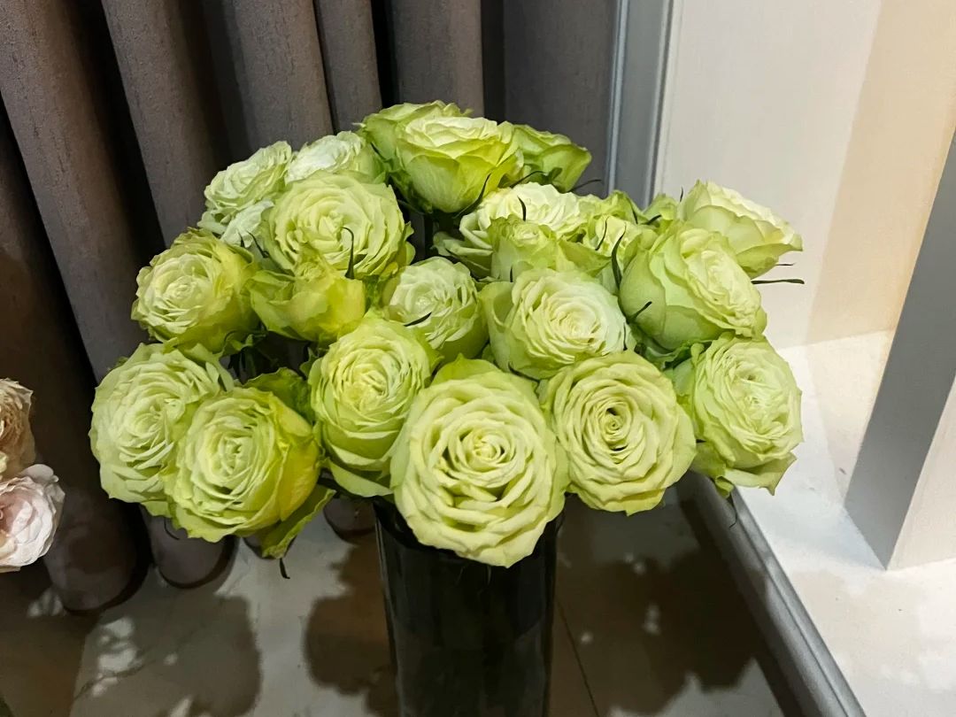 green roses​-37-Mint Julep​​