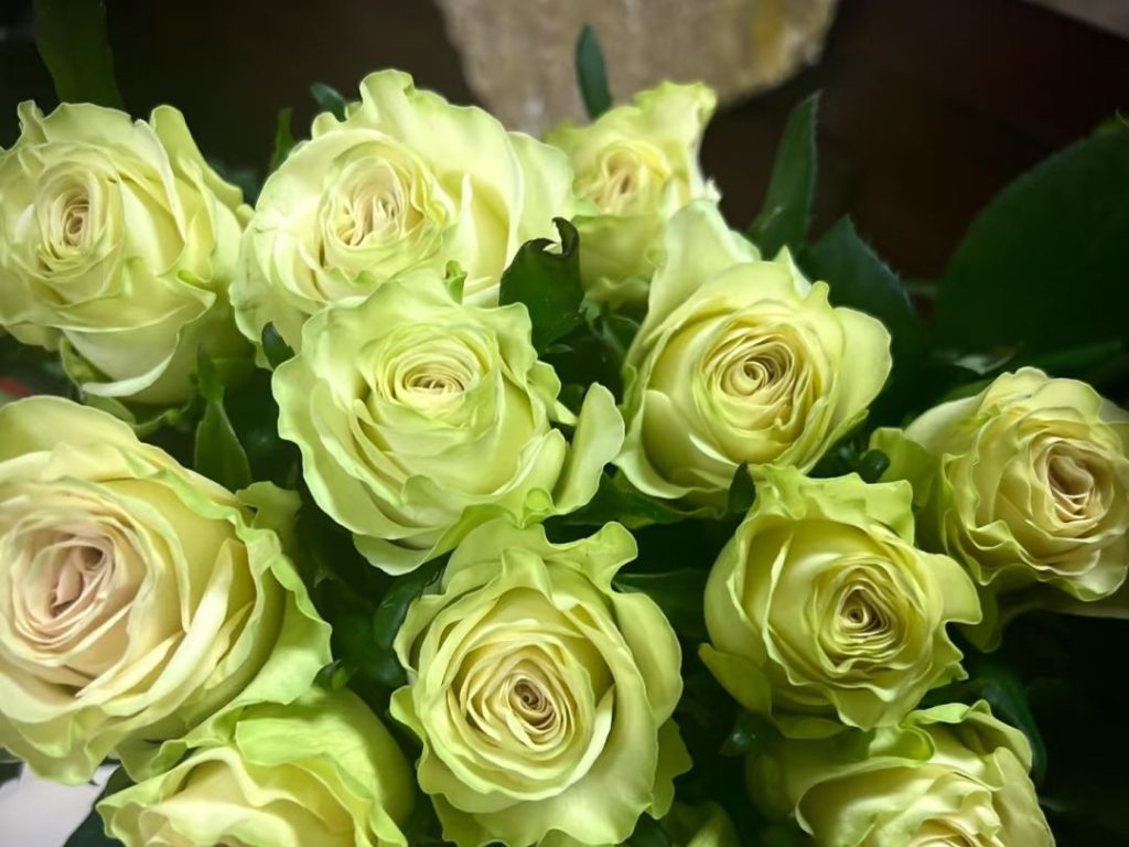 green roses​-40-Glazed
