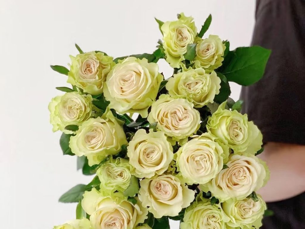 green roses​-41-Glazed