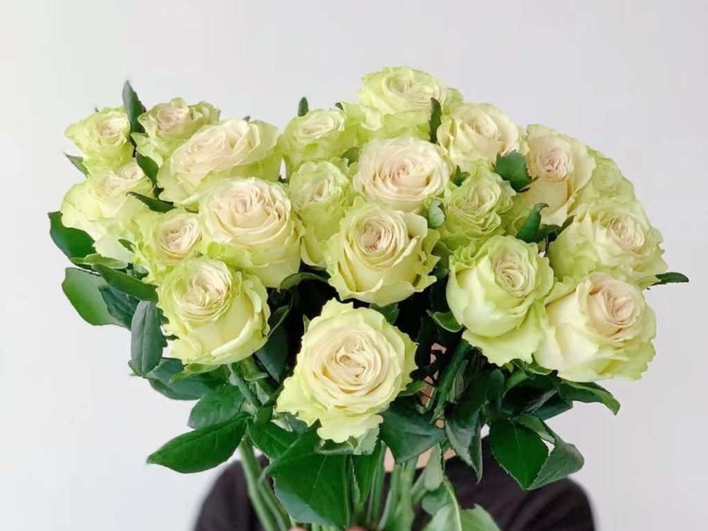 green roses​-42-Glazed