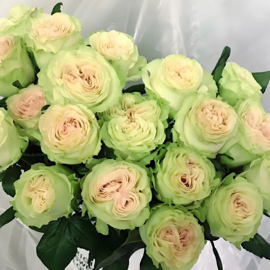 green roses​-44-Glazed