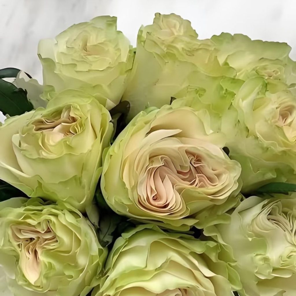 green roses​-45-Glazed