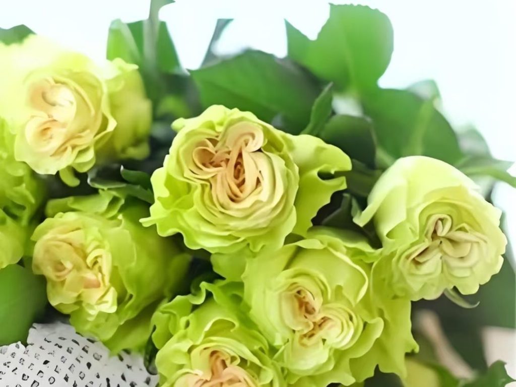 green roses​-46-Glazed