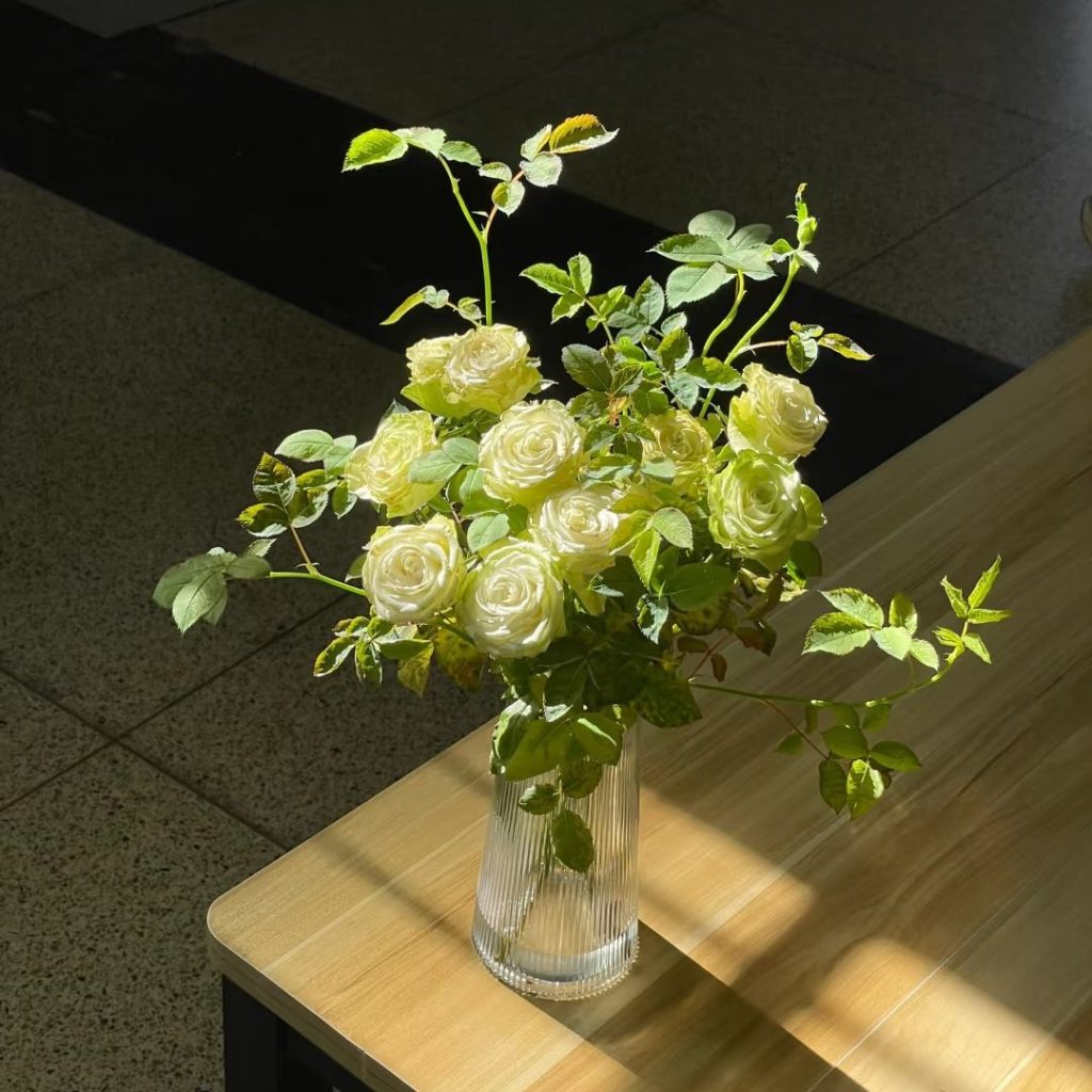 green roses​-9-Xiaoqiao