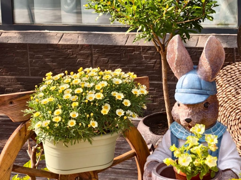 yellow daisies​-4