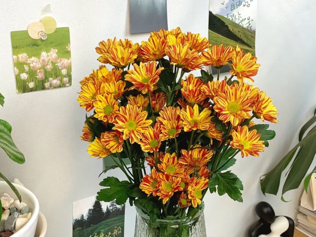 yellow daisy​-18